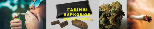 индика Нефтегорск