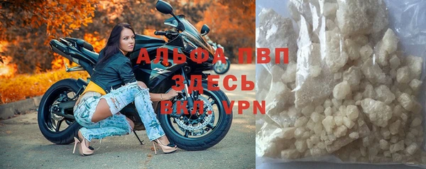 индика Нефтегорск