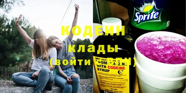 индика Нефтегорск