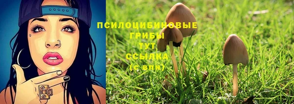 соль ск Нея