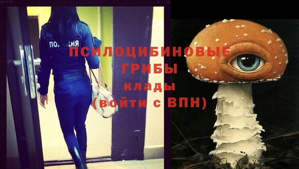 дурь Нефтекумск