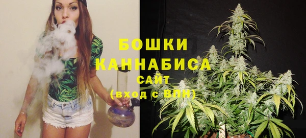 индика Нефтегорск