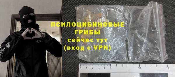 индика Нефтегорск