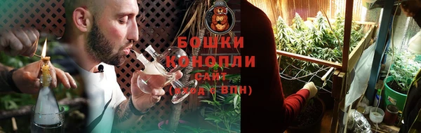 соль ск Нея