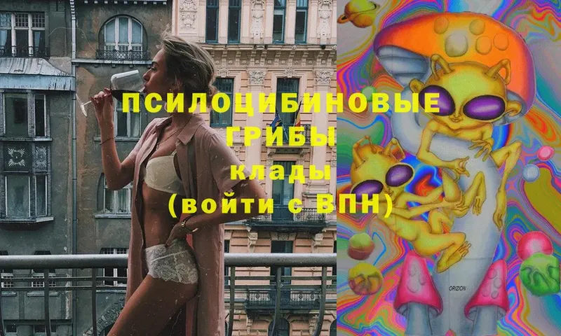 что такое наркотик Тамбов Псилоцибиновые грибы ЛСД
