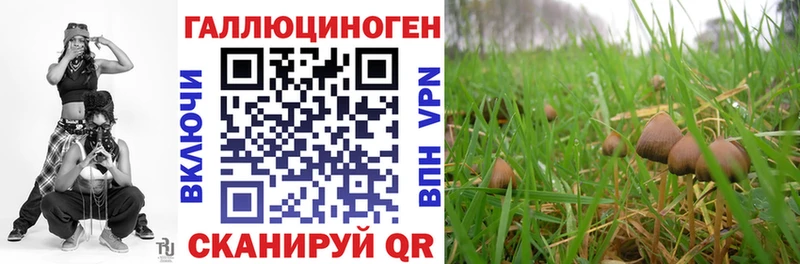 Галлюциногенные грибы прущие грибы Тамбов